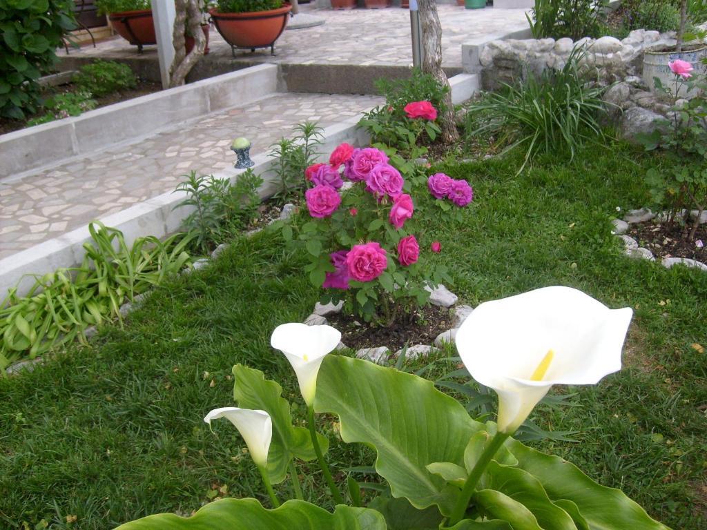 Apartments Bovan Herceg Novi Extérieur photo